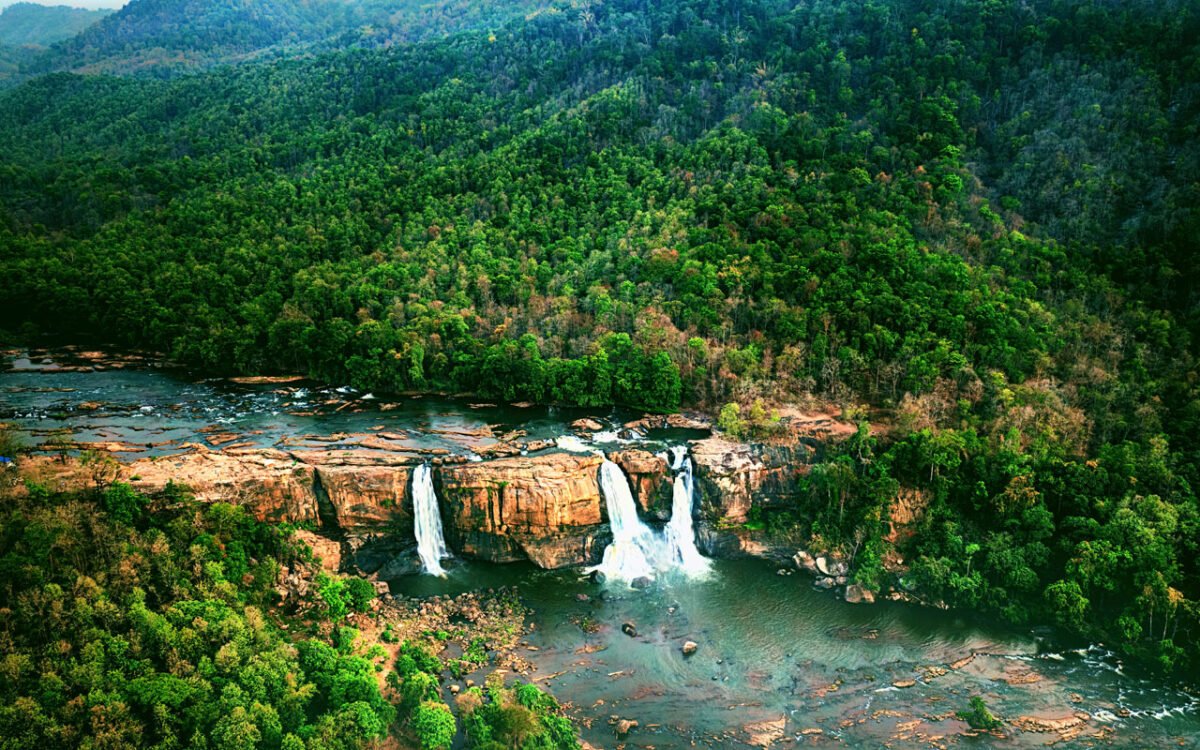 Athirapalli Waterfalls Tour From Cochin