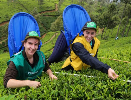 Explore Love in Sri Lanka: 5-Day Romantic Holiday Tour