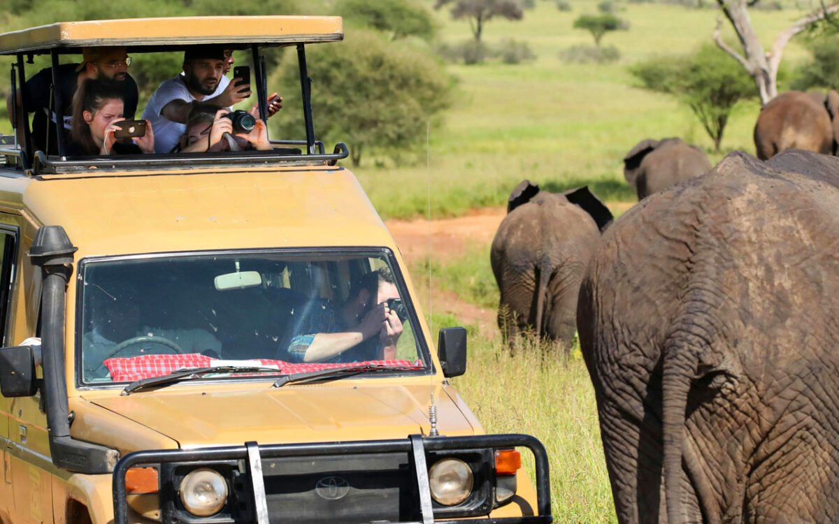 Sri Lanka Wildlife Safari Tour – Private Luxury Nature Experience